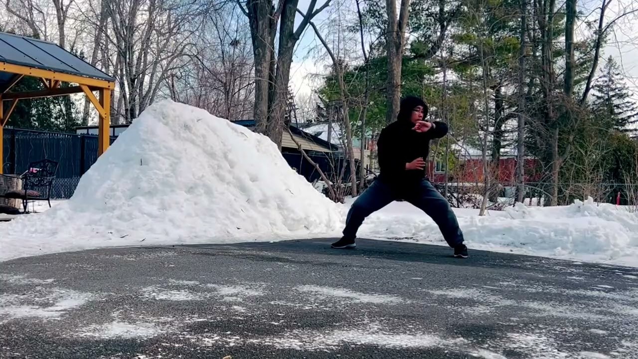 Bear-Form (Part 1) of XingYi-BaGua Palm in Tai Chi Approach