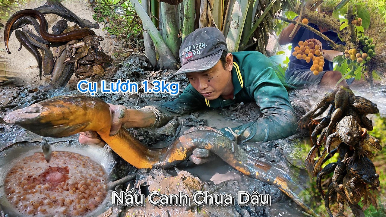 Kiếm Mồi Trong Vườn Bỏ Hoang L&acirc;u Năm | Gấc Qu&ecirc;