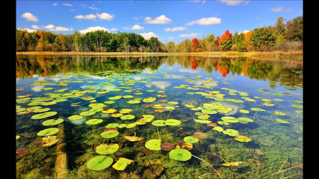 سانس کی مشق