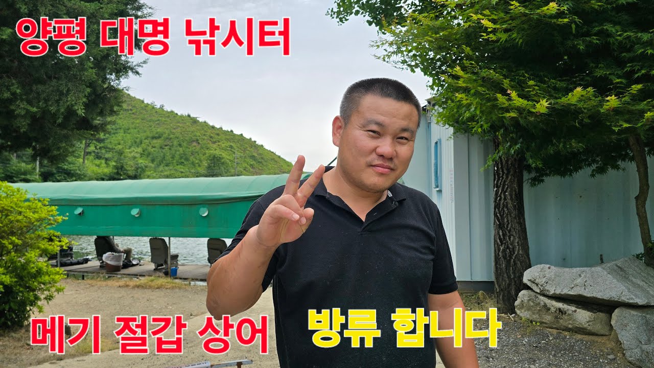 메기 철갑 상어 방류 합니다 양평 대명 낚시터