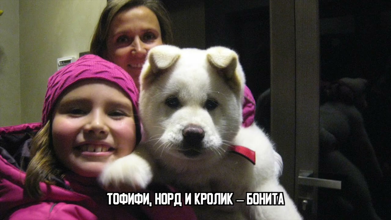 АЛК 07 05 2022