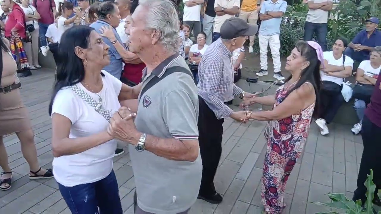 Los integrados parranderos. El tábano. Agosto 30 2025.