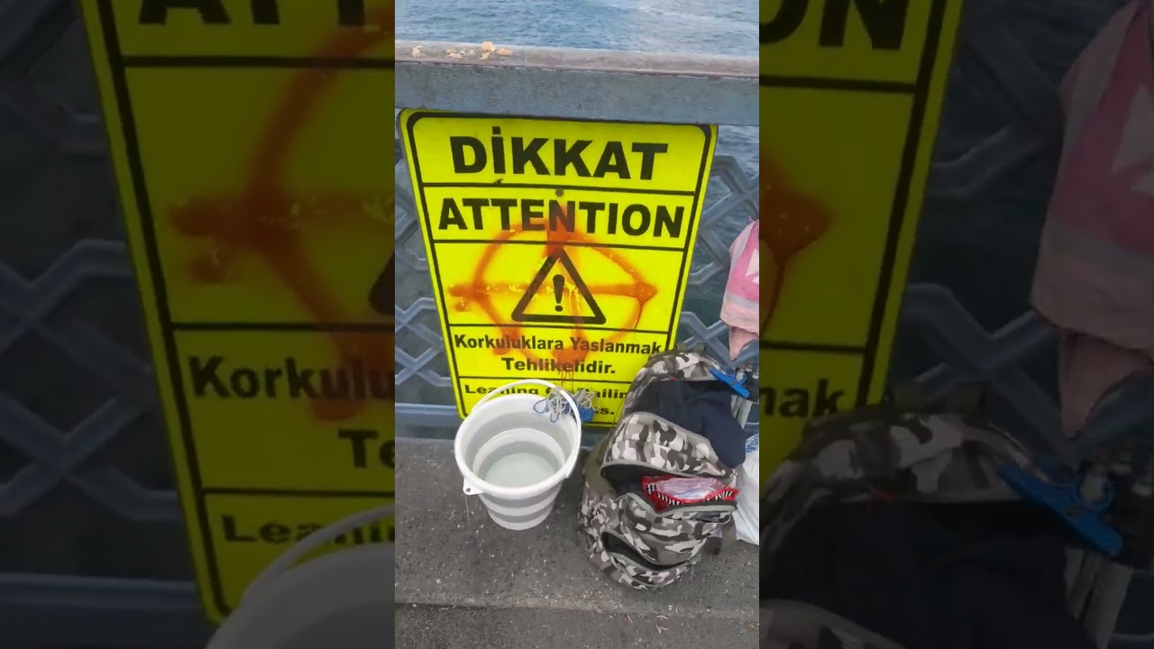 👍🇹🇷🌹🇹🇷👍Galata Köprüsü'nde balık durumu bütün oltacılara gelsin. Selamünaleyküm