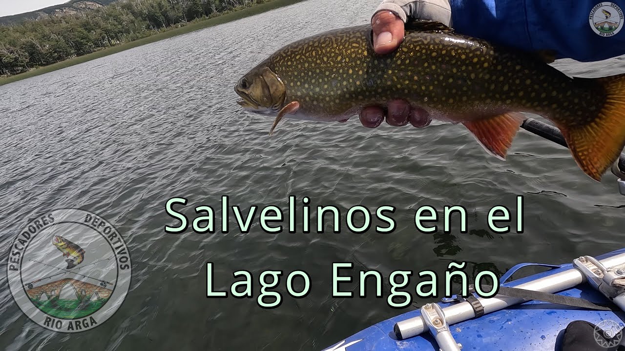 Pescando salvelinos en el lago Engaño