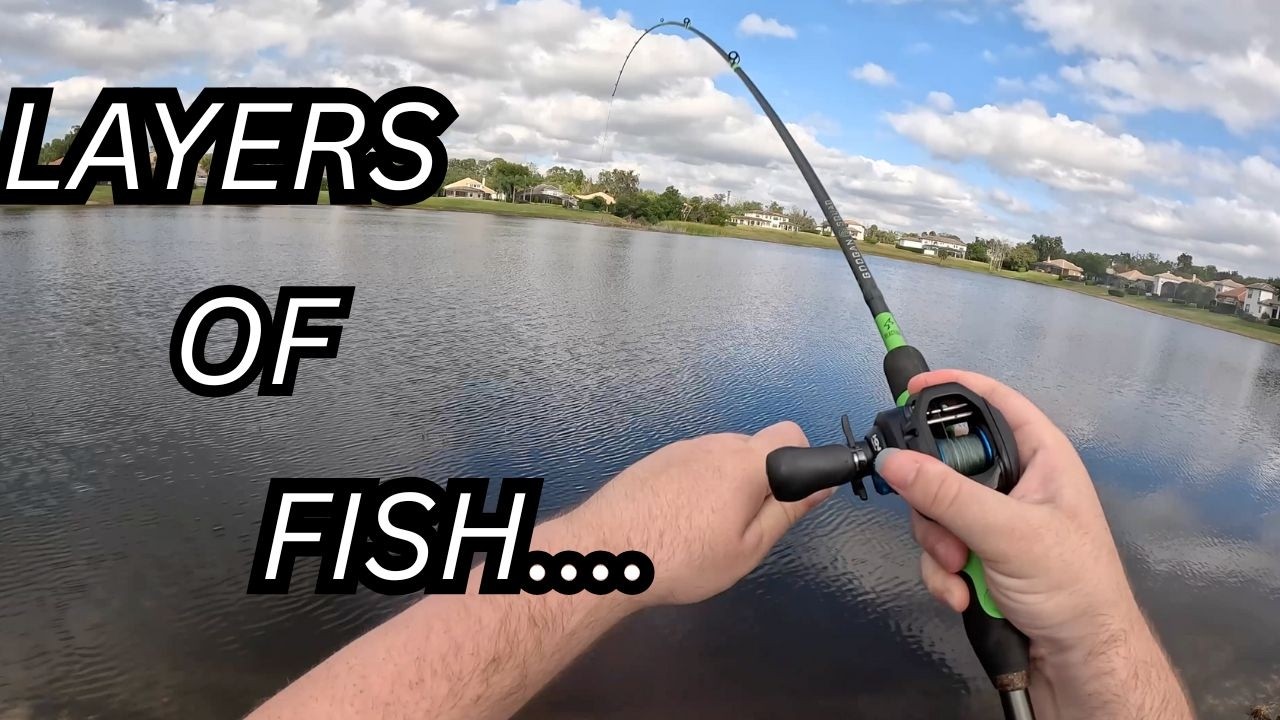 We Found The SCHOOL.....(Tons of BASS)