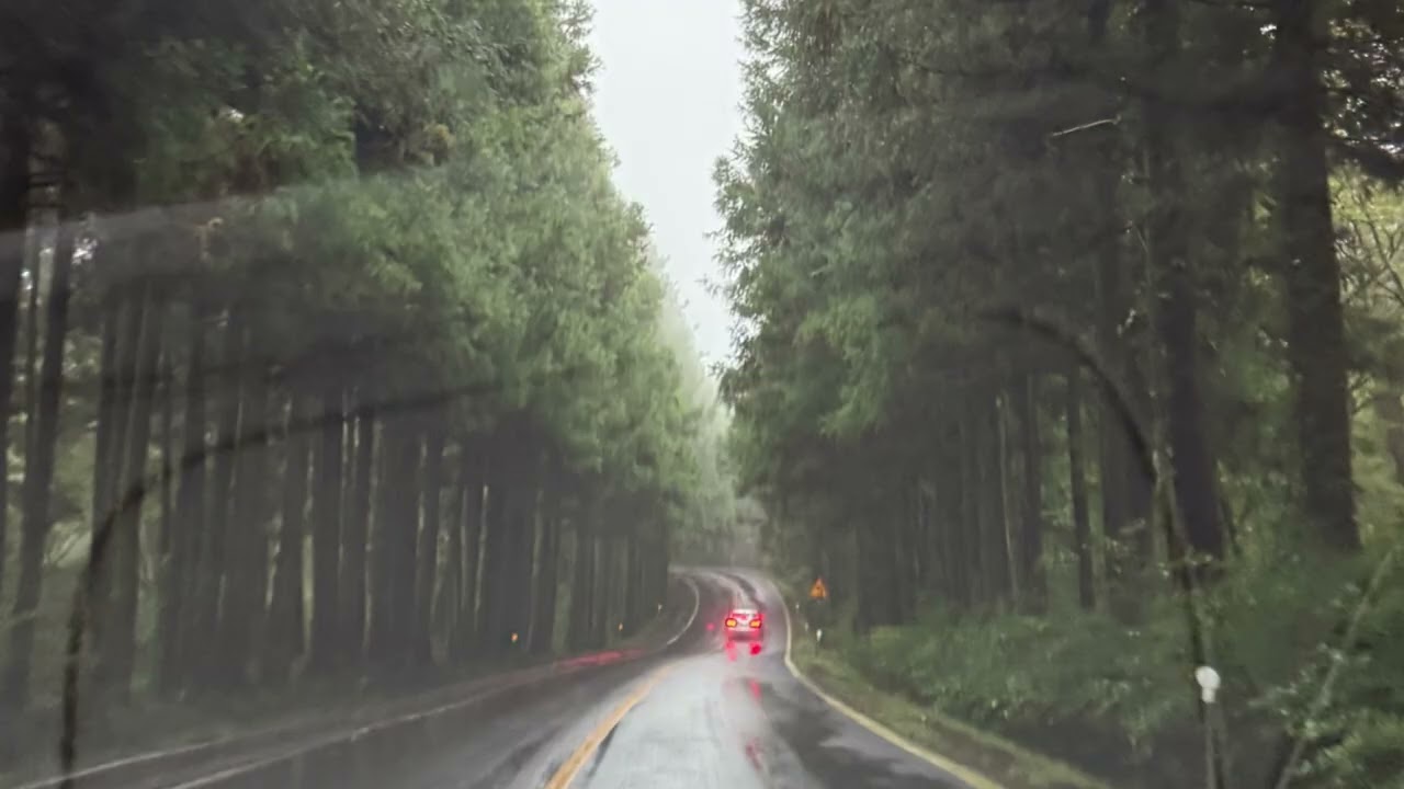 리도어 - 영원은 그렇듯 [1시간]