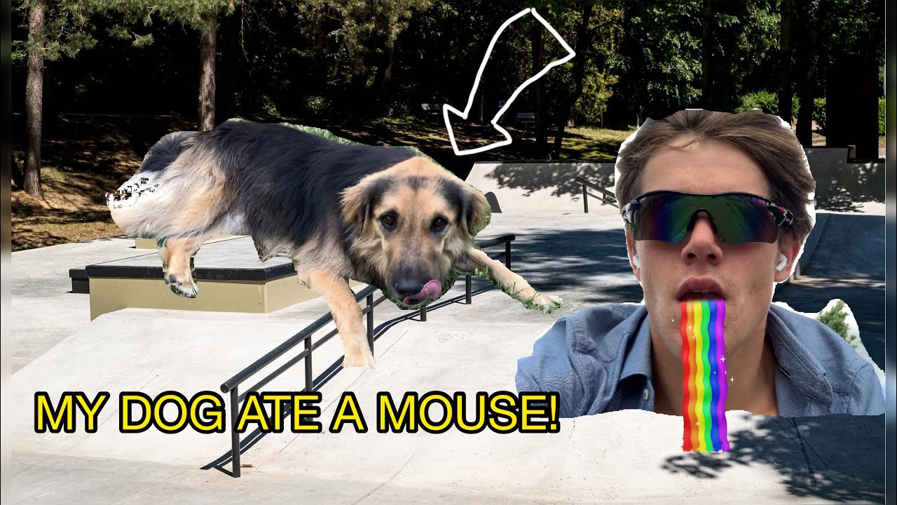 NEW SKATEPARK IN DIEST - SKATEVLOG #10
