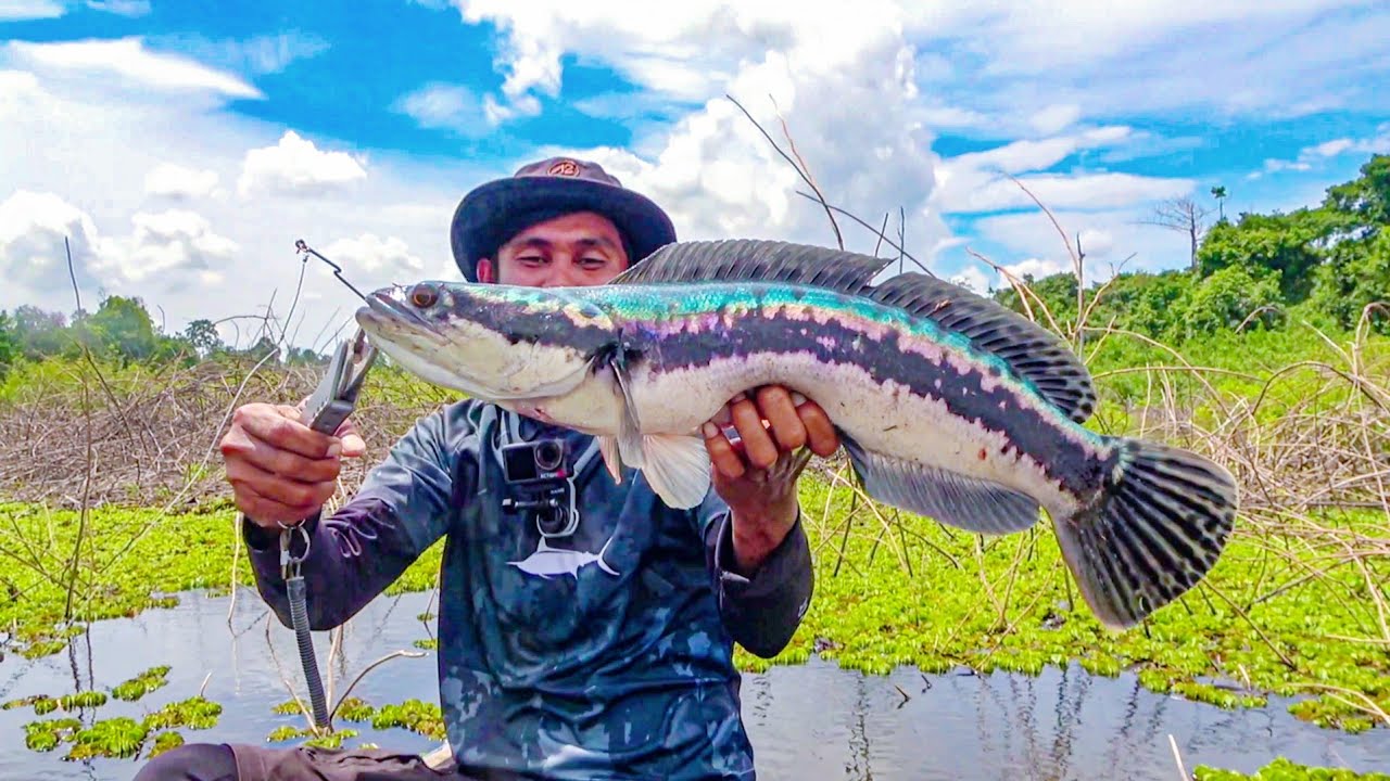 TOMAN GOBLIN DANAU ANGKER !!! Trip 2 Hari Mancing Hanya 1 Jam 😨