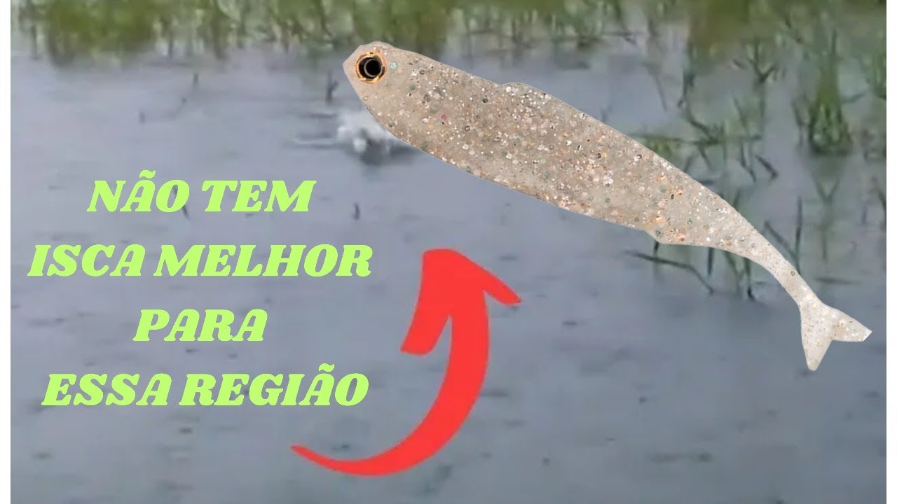 Quando o peixe está no meio da vegetação essa isca é a melhor saída!!!