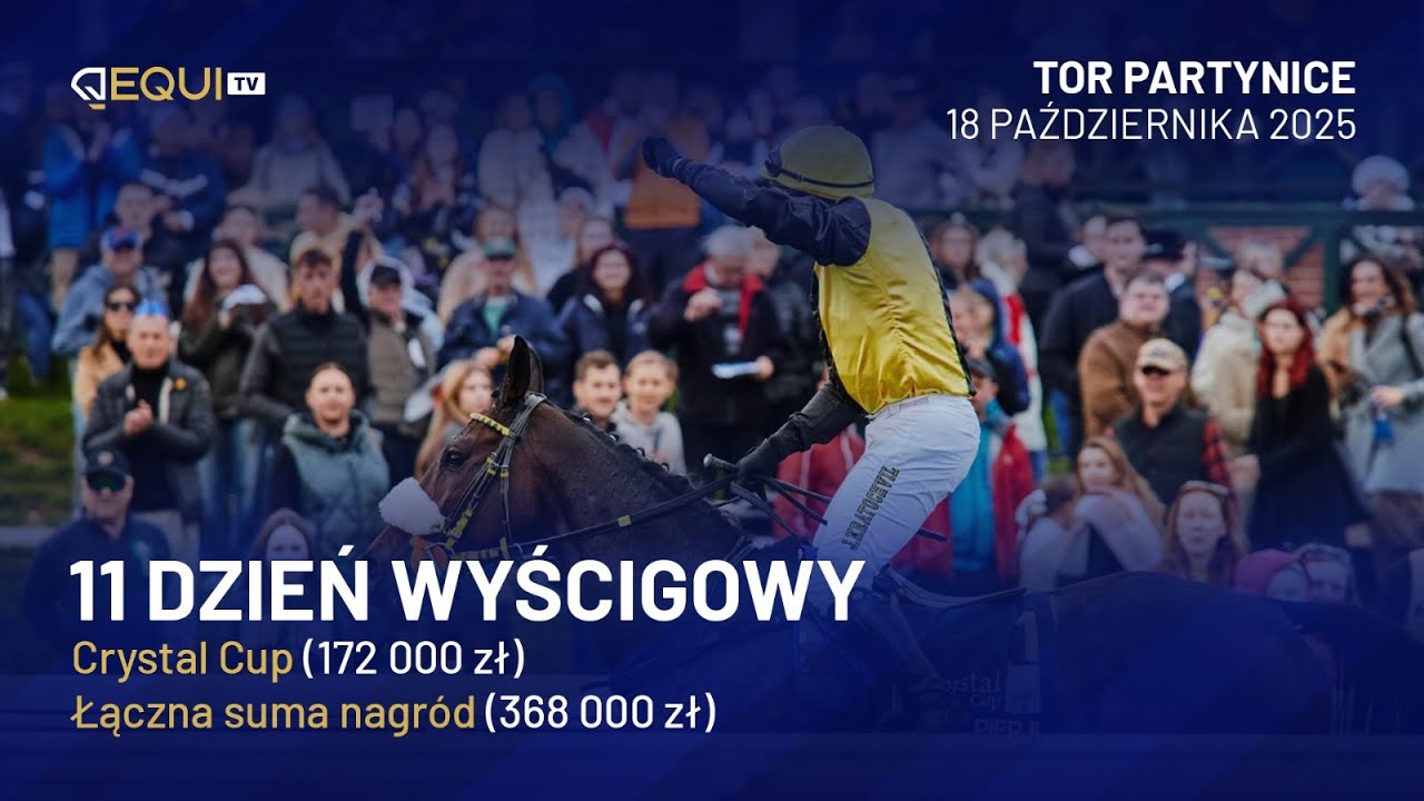 Już dziś magiczny Crystal Cup! Wyścigi konne na żywo