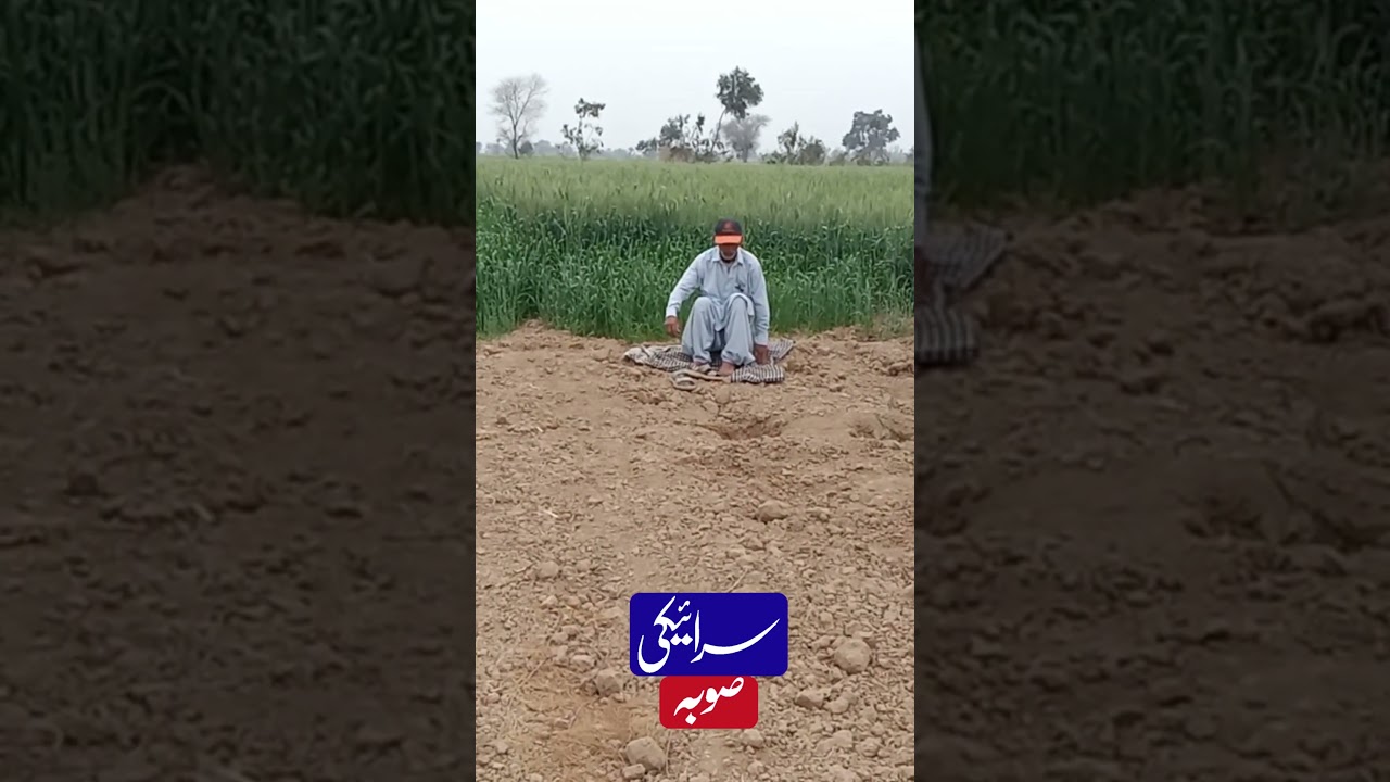 short video jhumar saraiki soba سرائیکی صوبہ
