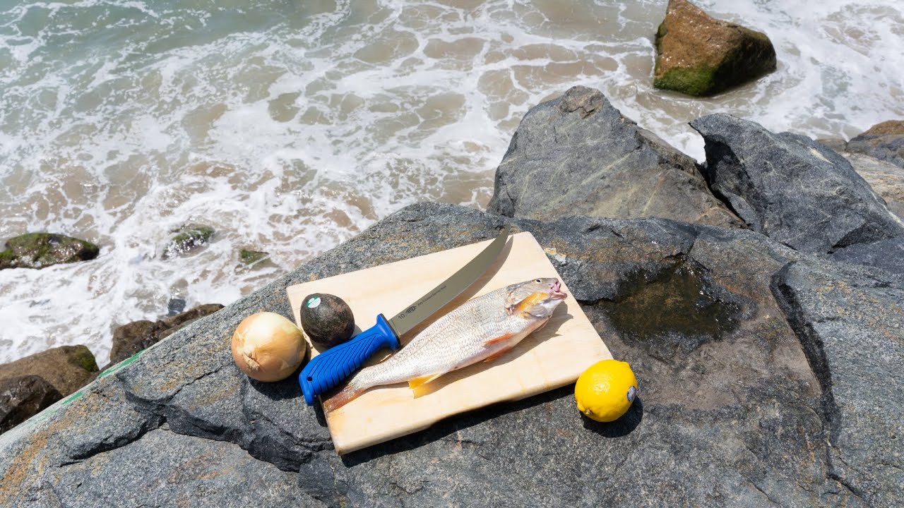 Malibu Catch & Cook - Cooking Out of my Truck on the Pacific Coast Highway