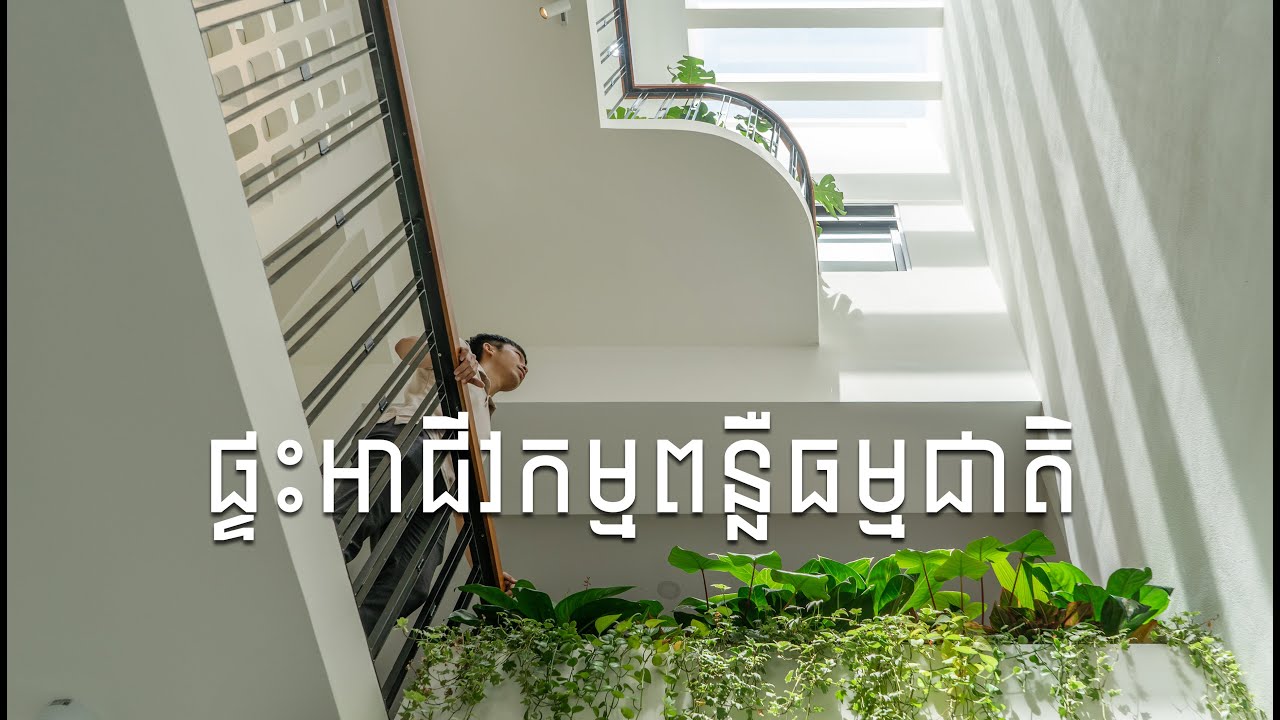 ផ្ទះអាជីវកម្មពន្លឺធម្មជាតិ