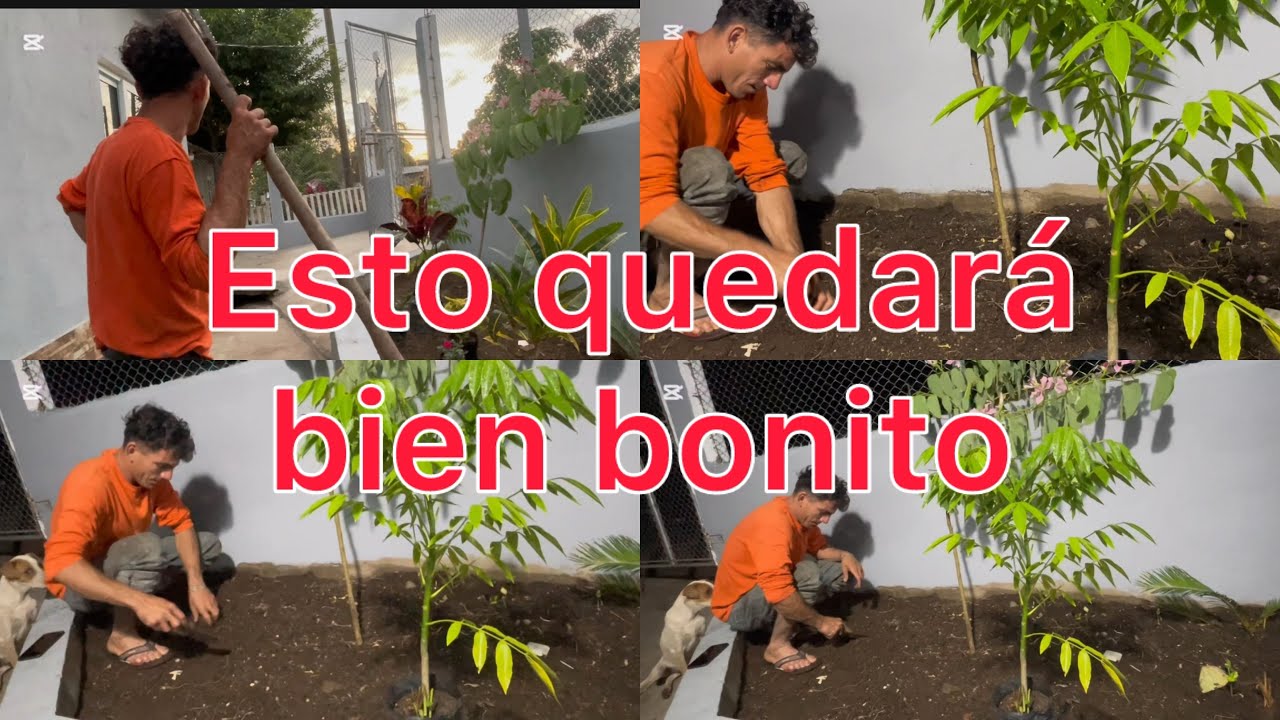 🟢Vean lo que está haciendo el esposo de Mercy ahora en su nueva casa😱
