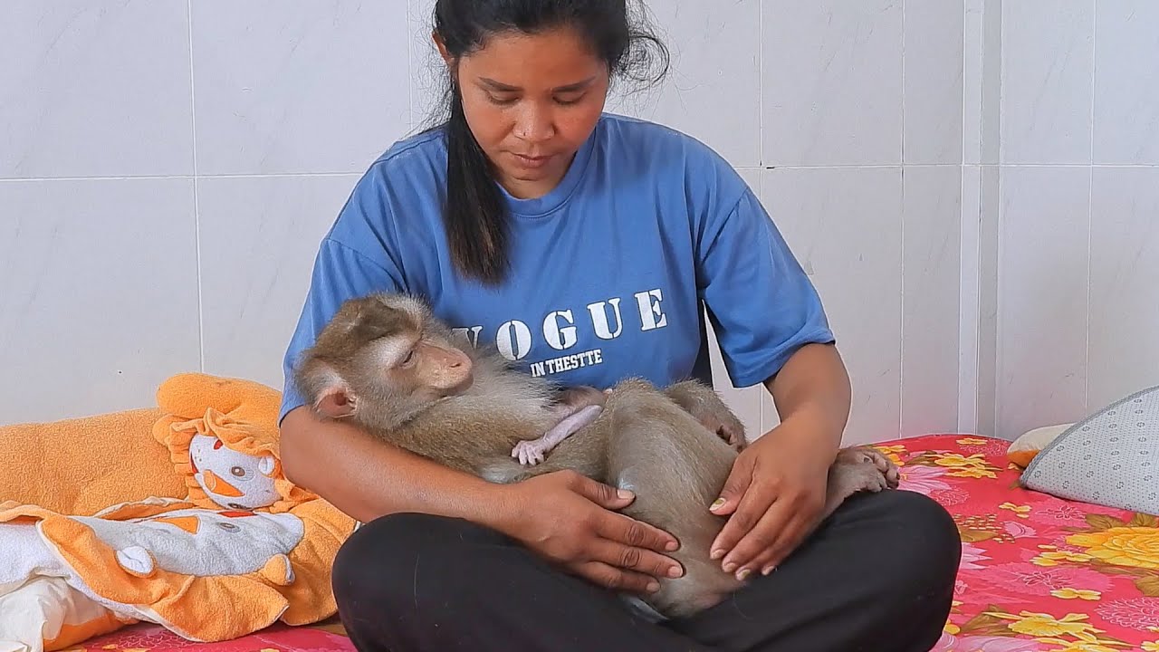 Mommy Luna Want To Naps On Mom's Lap When She Was A Baby