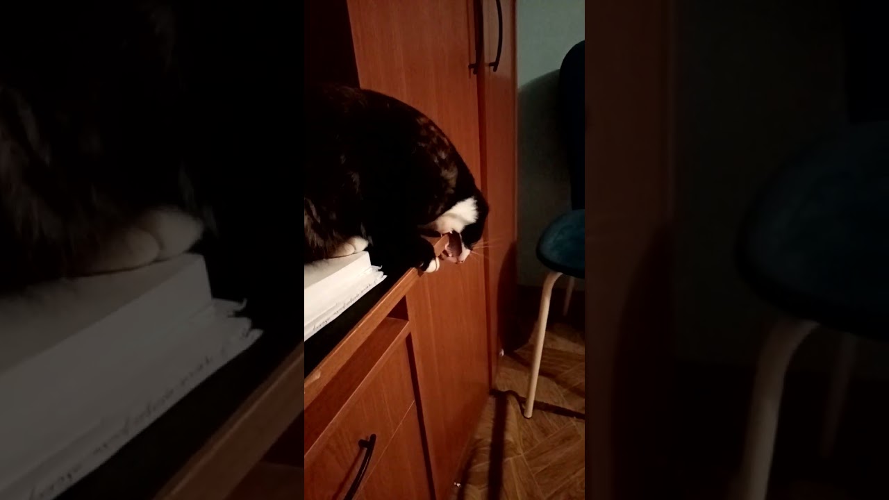Когда растут зубы