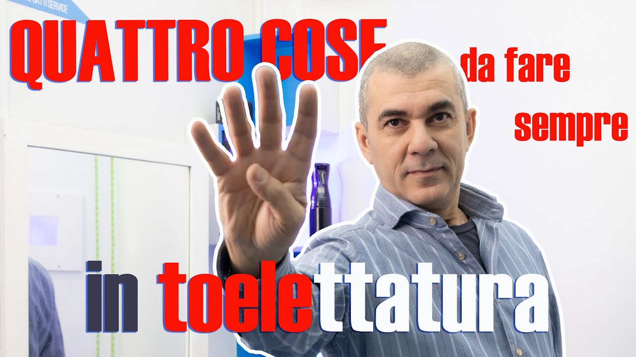 CORSO PRATICO DI TOELETTATURA - Toelettatura Corsi - Quattro cose da fare sempre in toelettatura.
