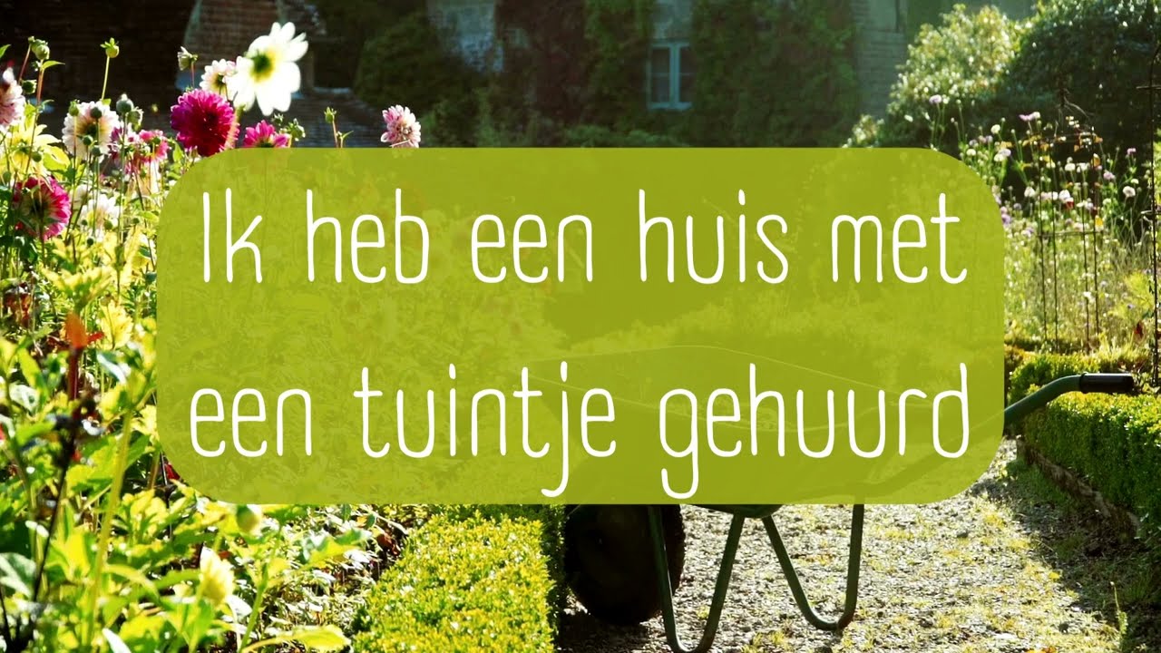 Ik heb een huis met een tuintje gehuurd