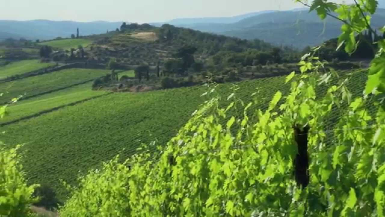 Chianti