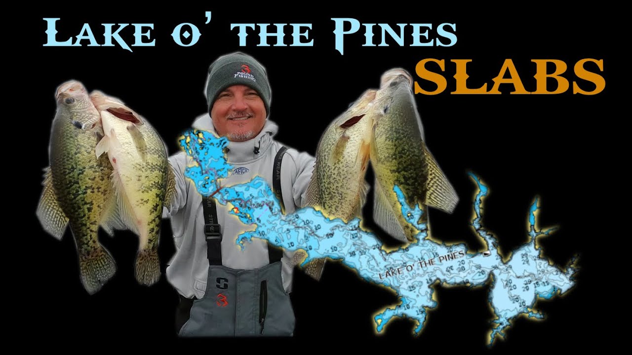 Lake O' The Pines Crappie