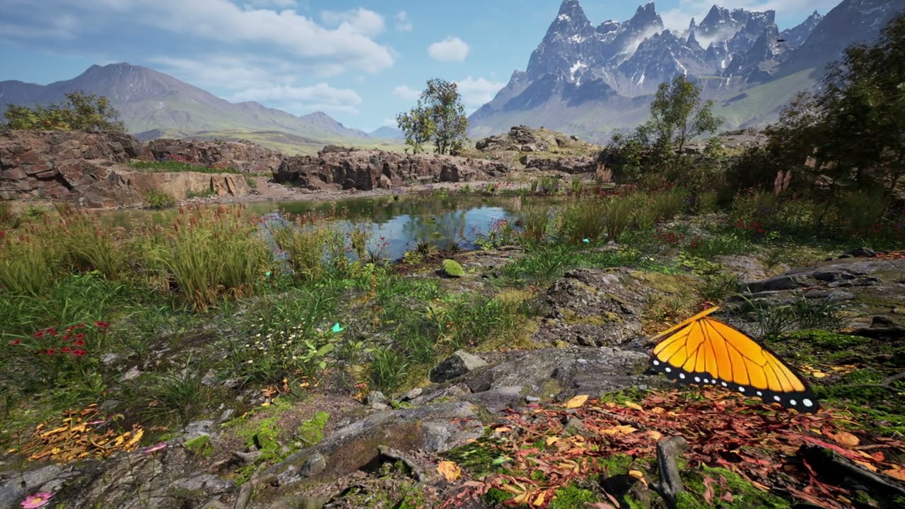 Stone Simulator - Just Be a Rock | 15 | Relaxen, Träumen, ASMR, Yoga, Entspannen | ZEN & Music