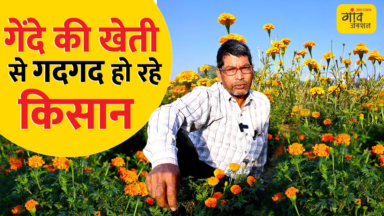 साल में 3 बार बुवाई, कमाई हर बार शानदार! | Gaon Junction LIVE