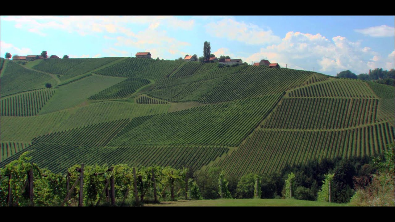 Terroir erleben - Weingut Lackner Tinnacher, Südsteiermark