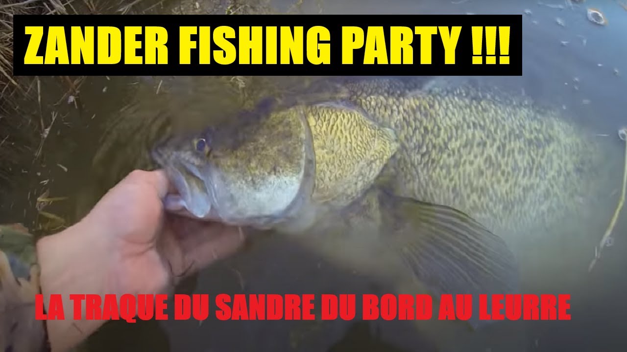 ZANDER FISHING PARTY !!! La Pêche Du Sandre Au Leurre Du Bord