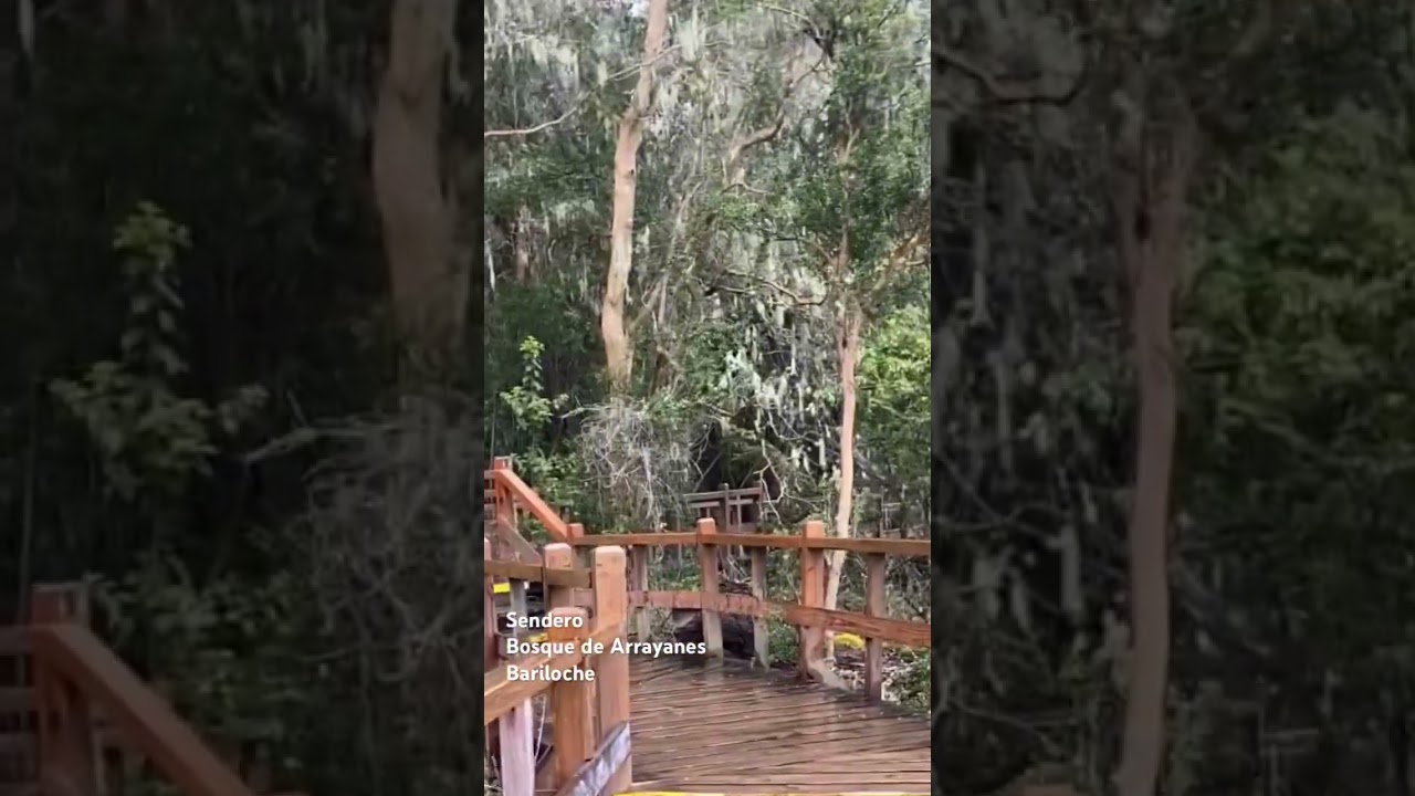 La música de Argentina espectacular!   Bruma de Moviola 