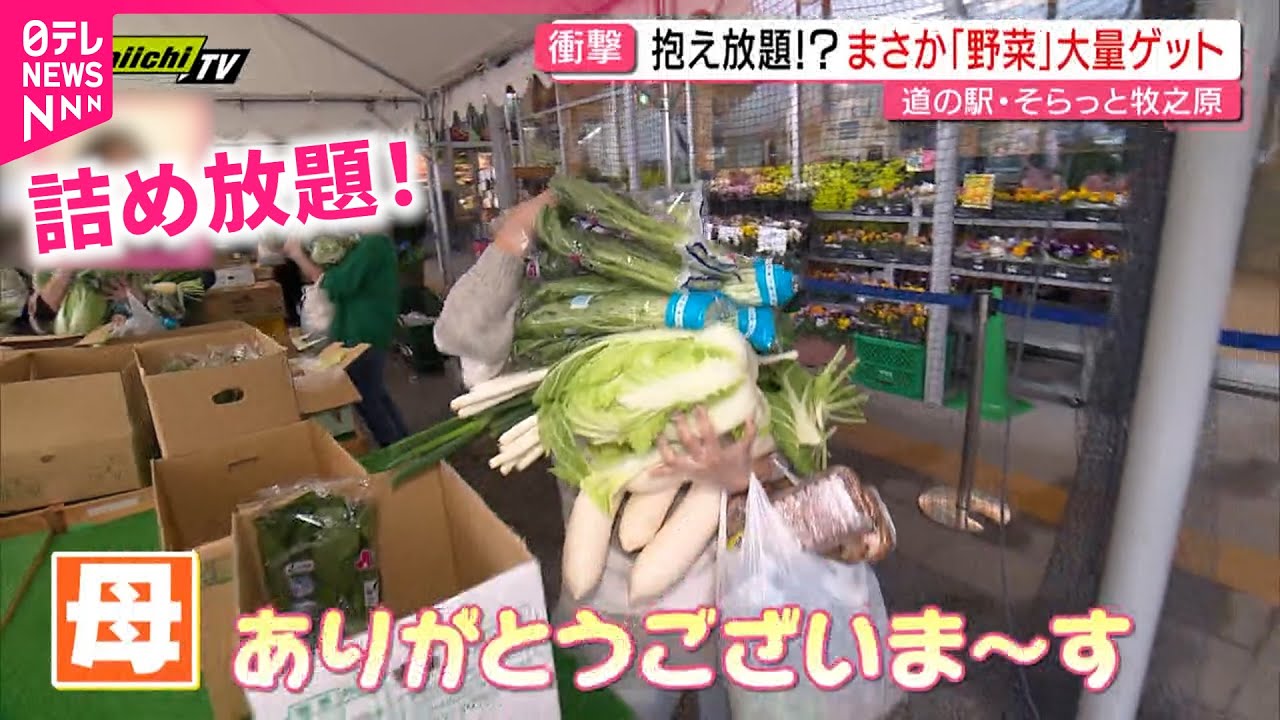 【おトク】太っ腹ルールが人気！野菜＆魚の