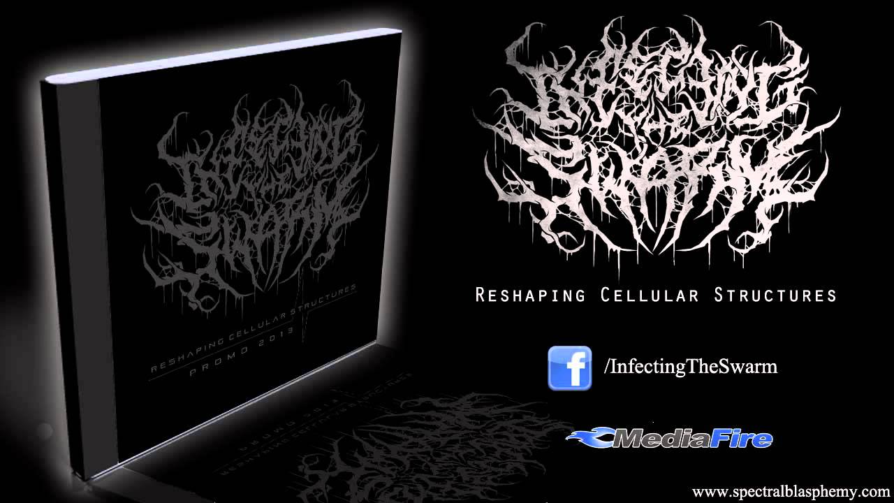 Infecting The Swarm - Unknown (New Song 2012) [HQ]