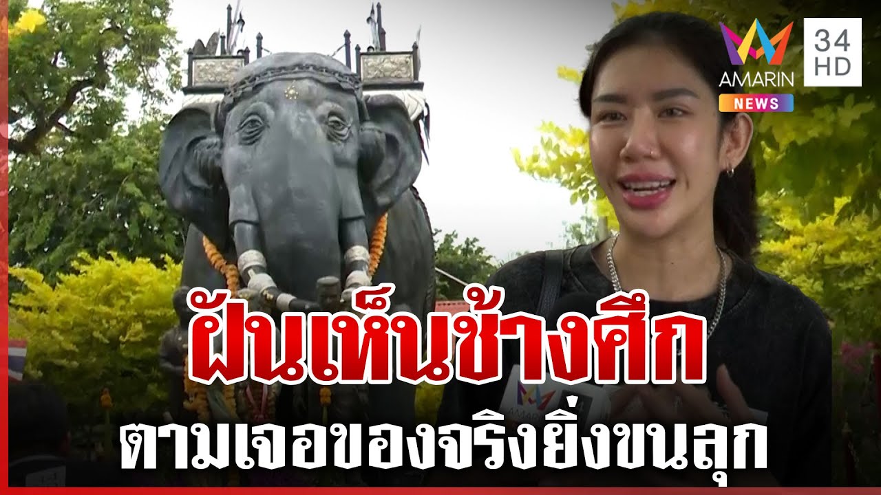 ไวรัลคนดูเป็นล้าน! สาวฝันเห็นช้างศึก ตามนิมิตไปถึงวัดเจอของจริง | ทุบโต๊ะข่าว | 14/06/68