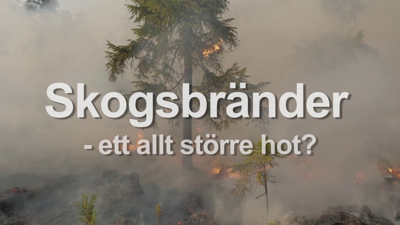 Skogsbr&auml;nder &ndash; ett allt st&ouml;rre hot?