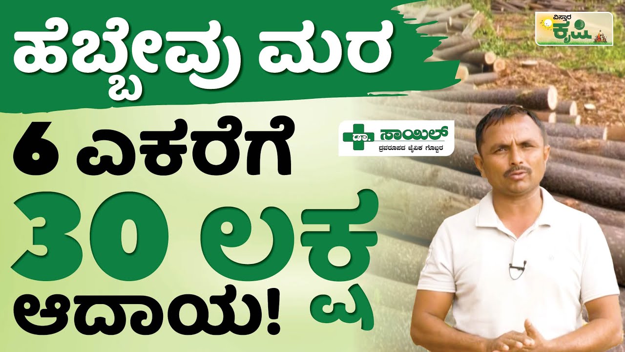 6 ಎಕರೆಗೆ 30 ಲಕ್ಷ ಆದಾಯ! | ಹೆಬ್ಬೇವು ಮರ | Vistara Krishi | Hebbevu Tree Farming In Kannada