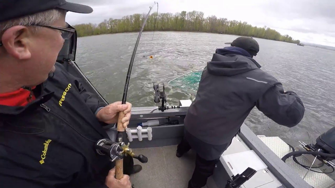 Spring Chinook Salmon Fishing with David Pyle on the Columbia River March 27, 2016
