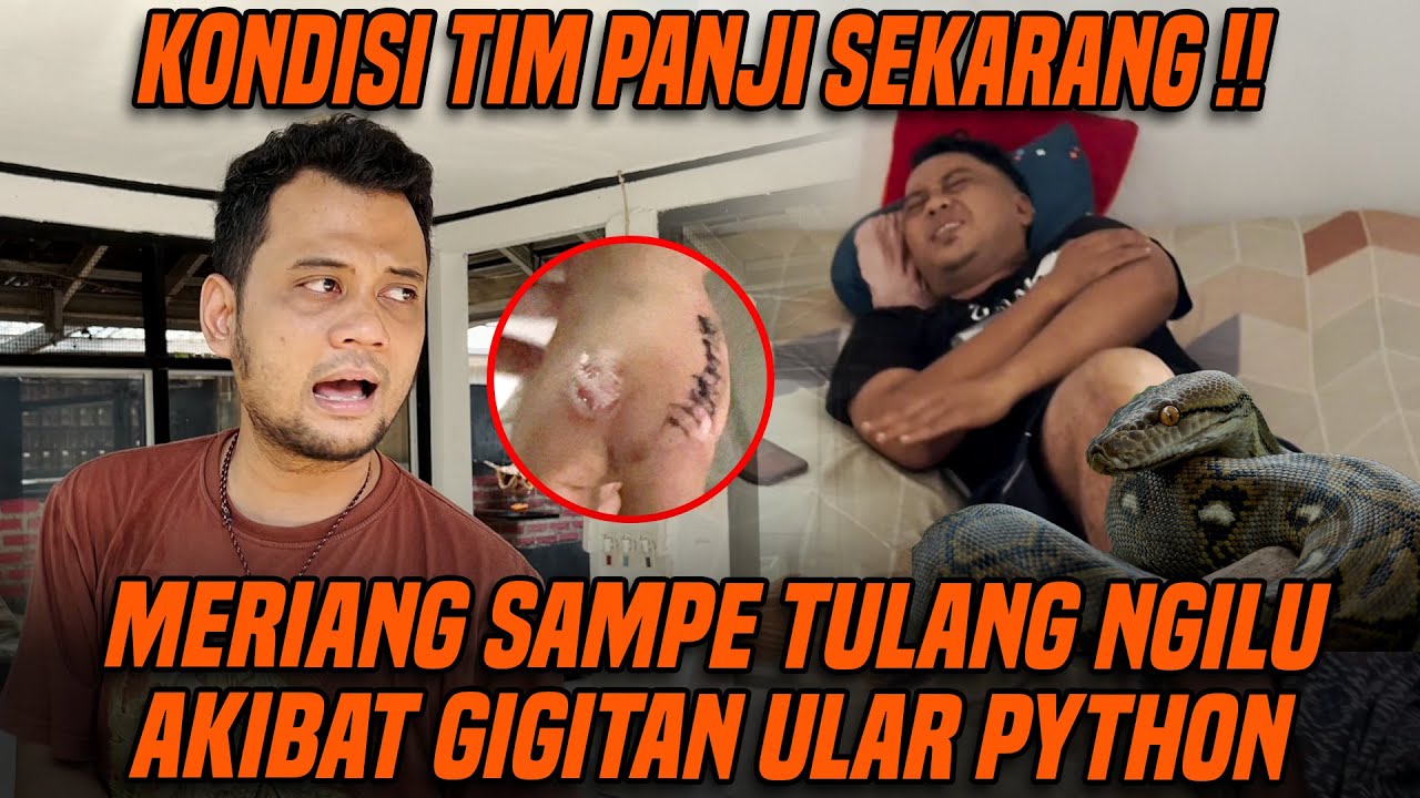 JANGAN SEPELEKAN GIGITAN ULAR PYTHON !! UPDATE KONDISI TIM PANJI KORBAN GIGITAN ULAR PYTHON !!