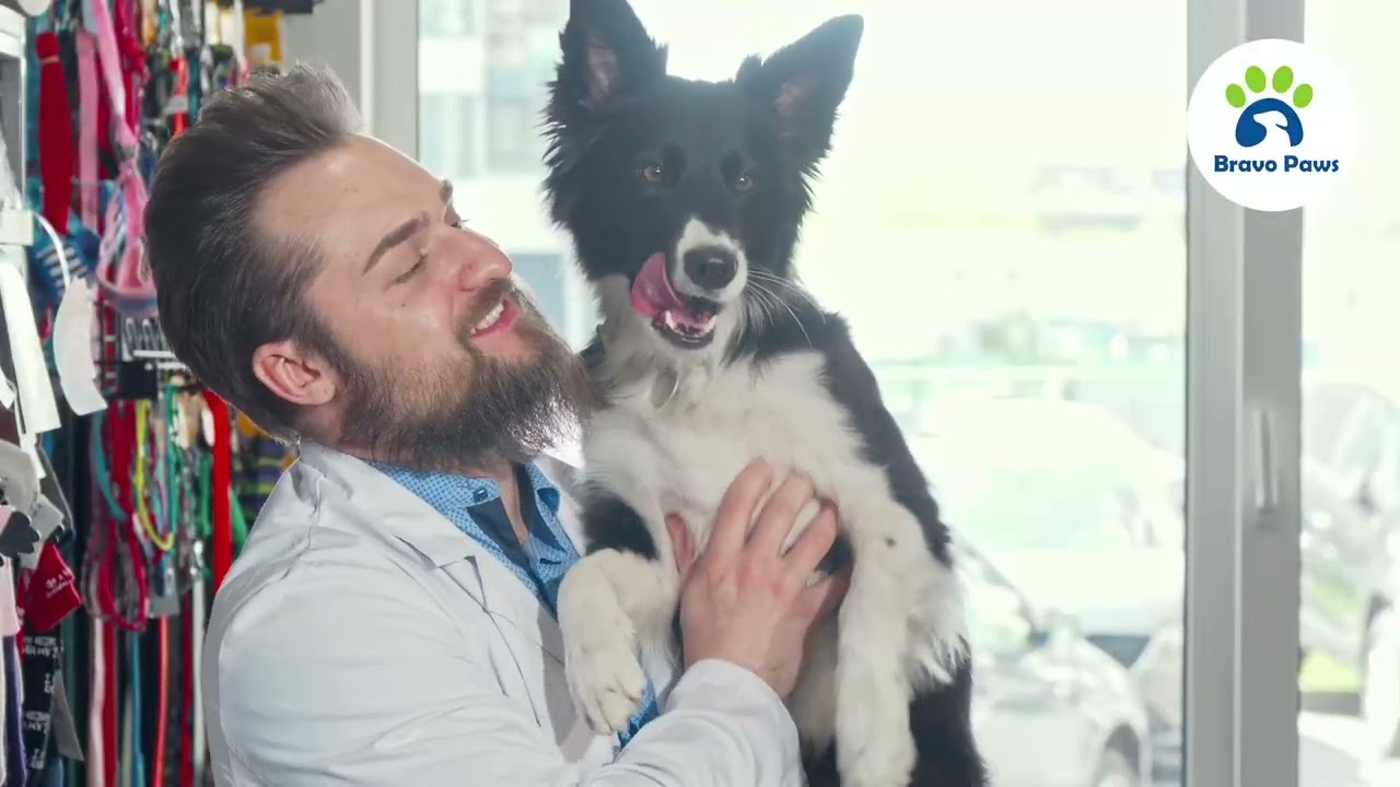 BravoPaws Intelli Mobility Softchews for Dogs