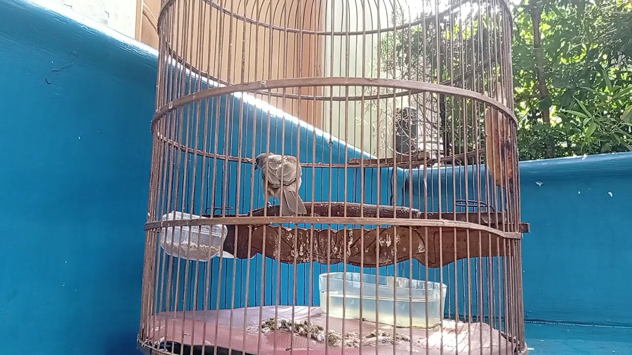 Rutinitas pagi hari ☀☀☀