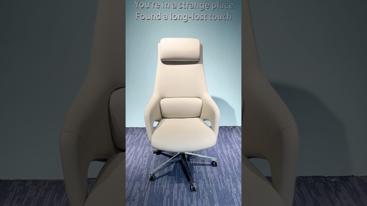 Factory Special offer leather chair 