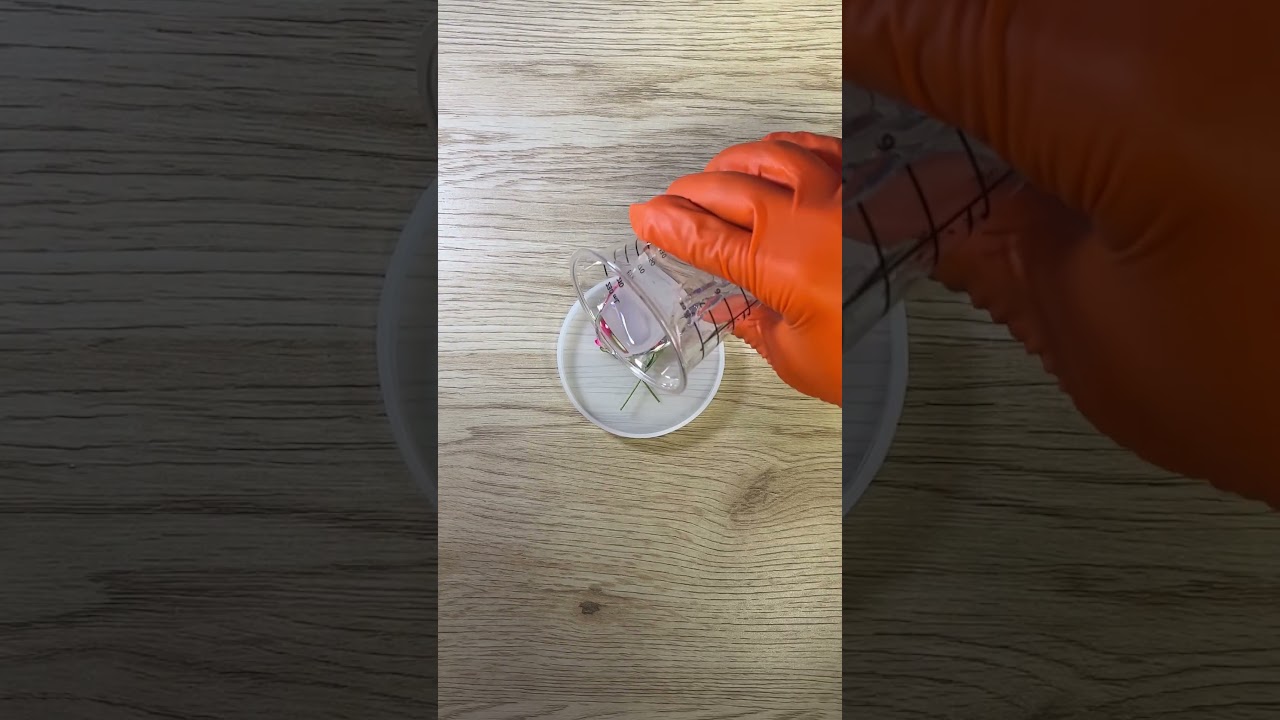 CRYSTAL CLEAR EPOXY RESIN FLOWER COASTER