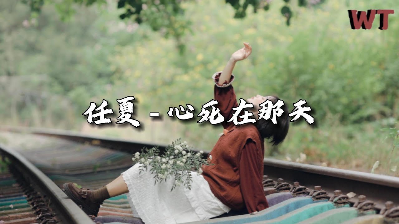 任夏 - 心死在那天『偶尔想起 你是否也会不甘，会有人替我陪你把余生走完，只是你的幸福再与我无关。』【动态歌词MV】