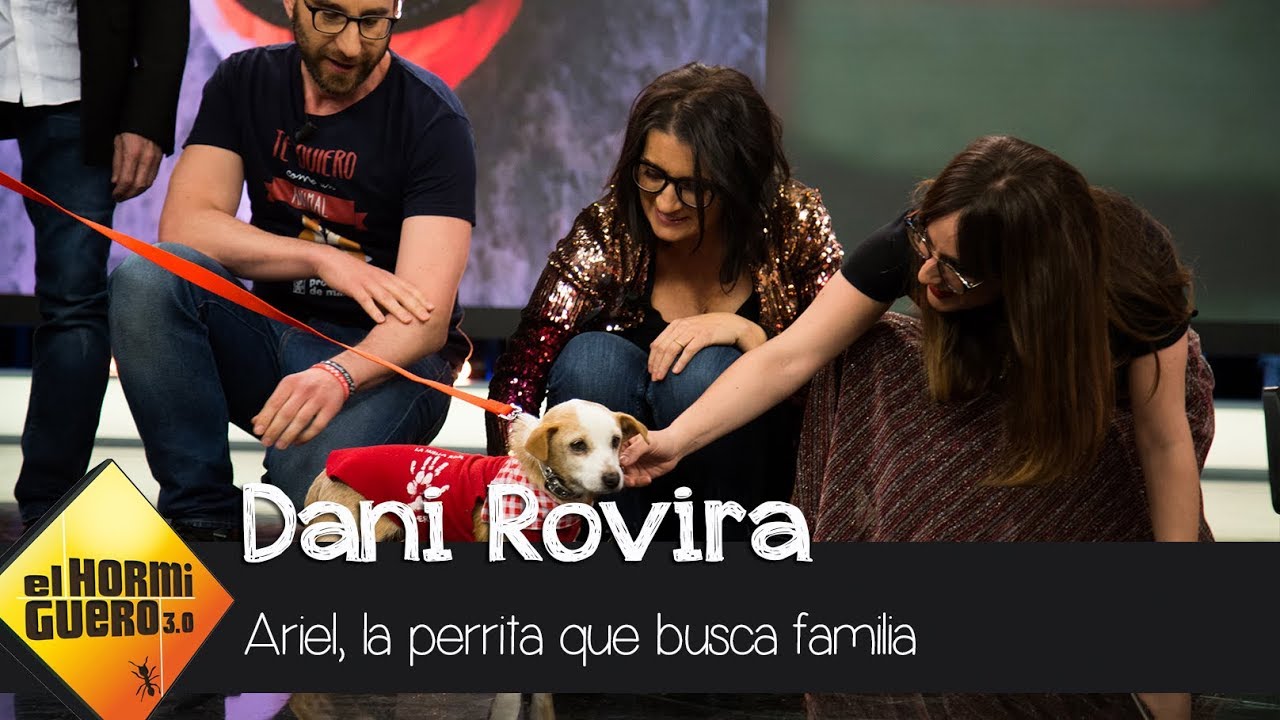 Ariel, la perrita encontrada por un barco pesquero, quiere encontrar una familia - El Hormiguero 3.0
