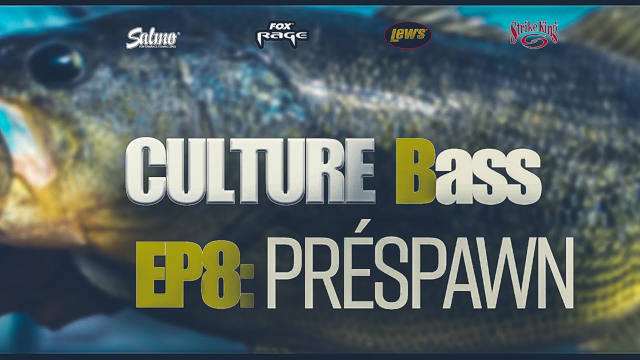 Culture Bass EP8 : Le Prespawn