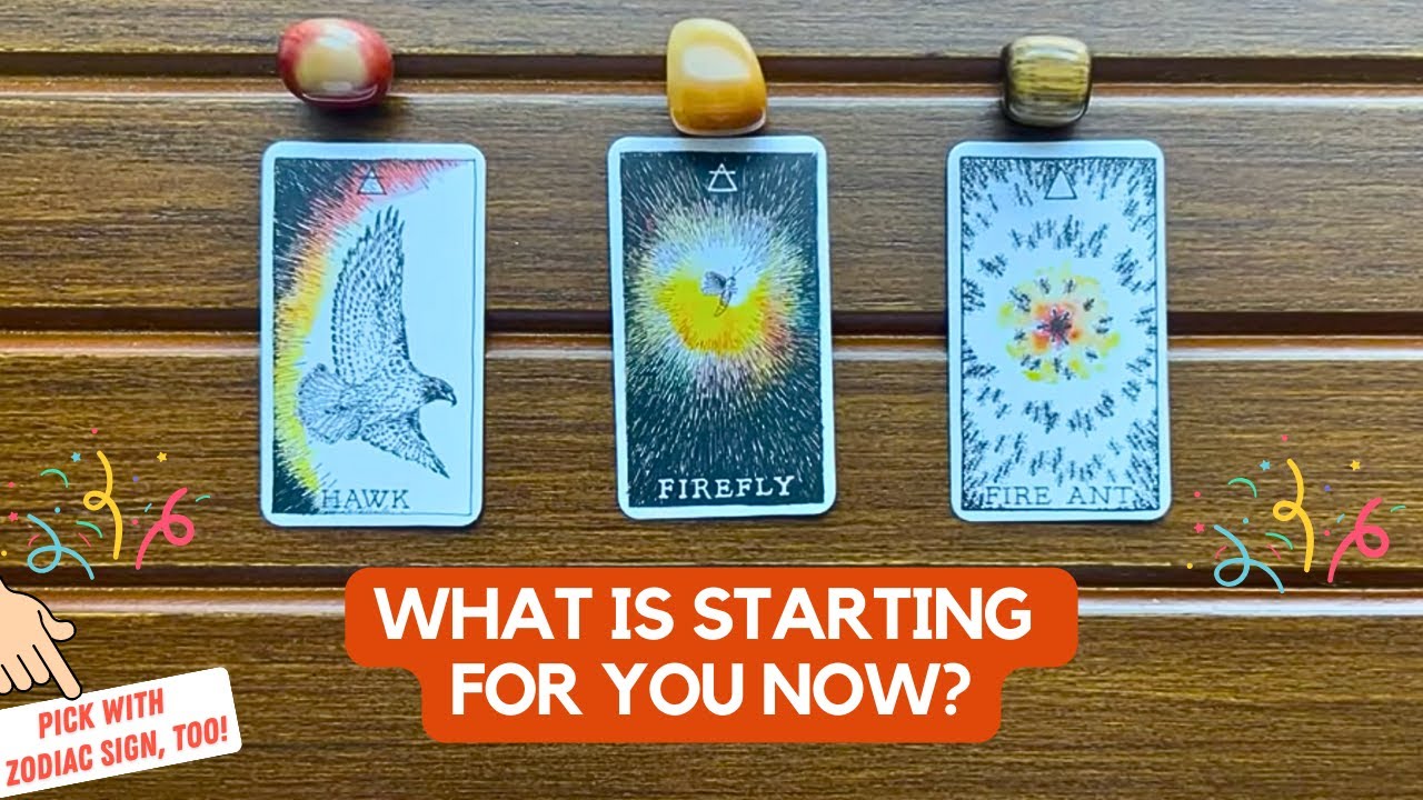 🪄✨What Is Starting For You Now?✨ | Timeless Reading