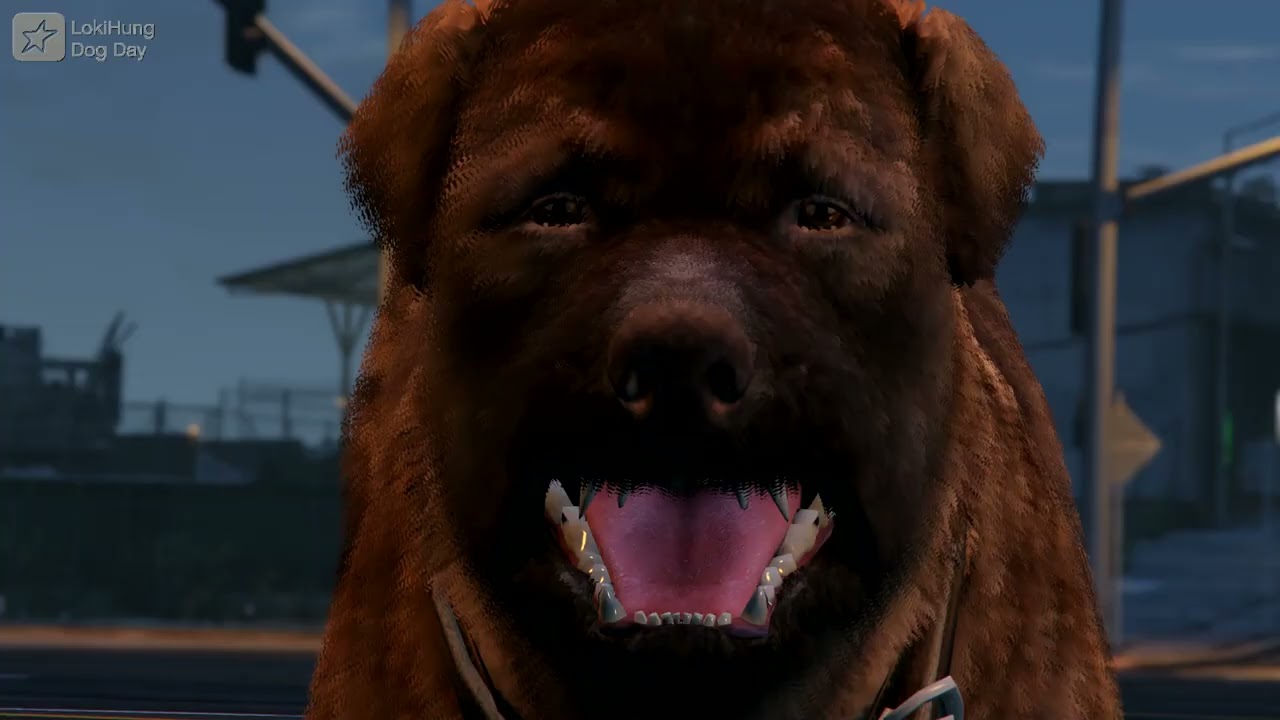 Dog Day