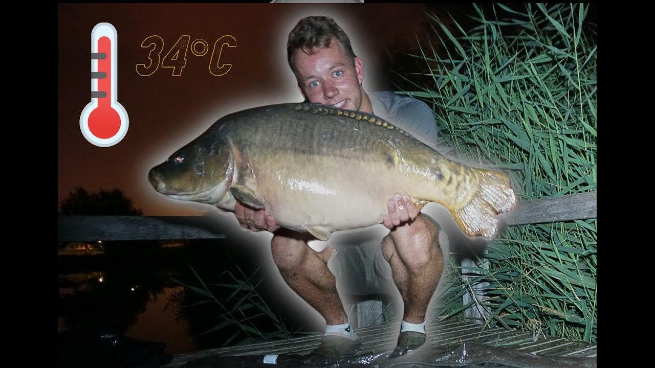 Karpervissen met 34 graden én met SUCCES ! DWFishingteam