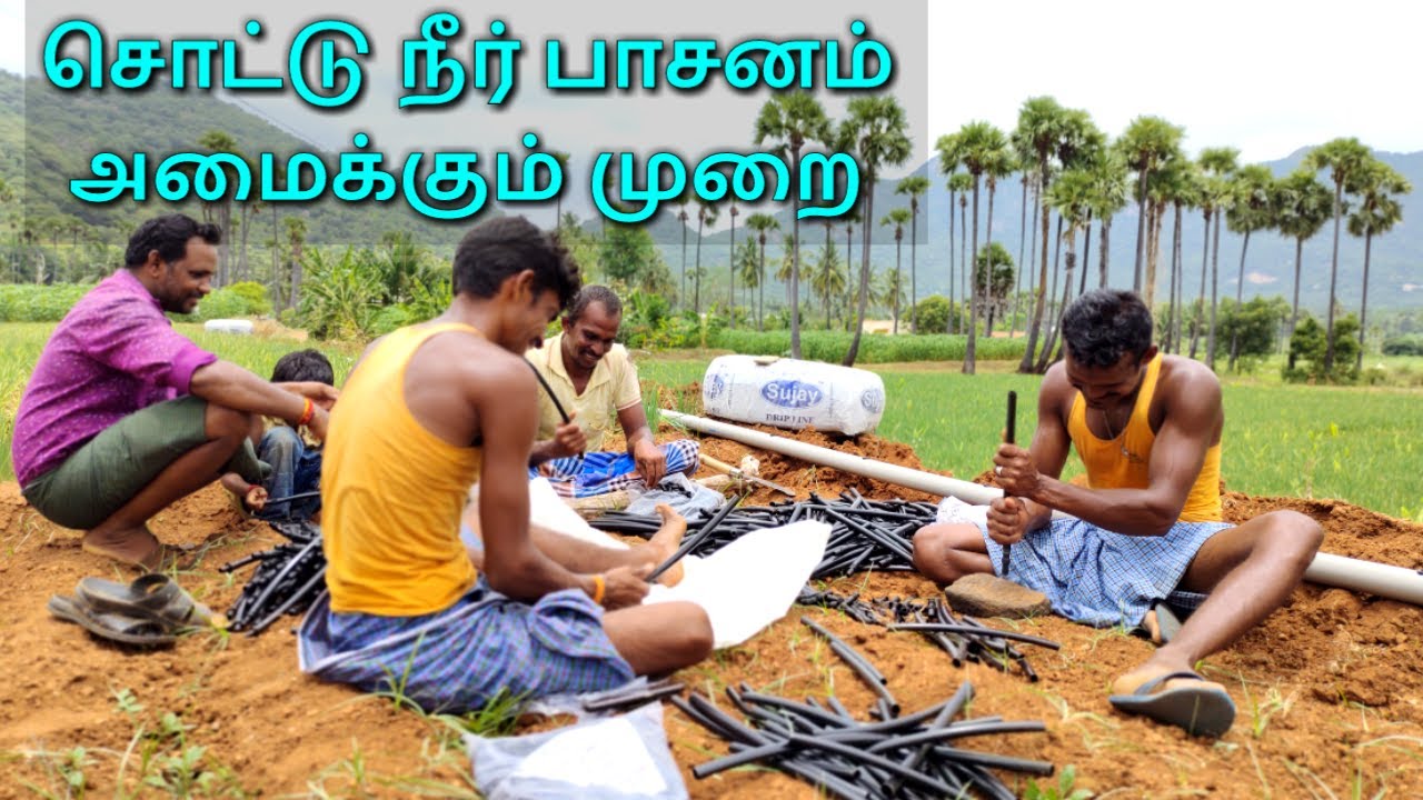 Setting up a drip irrigation system | சொட்டு நீர் பாசனம் அமைக்கும் முறை