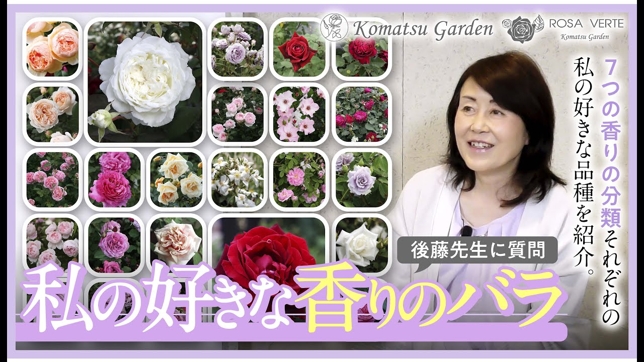 【バラの品種紹介】系統別 私の好きな香りのバラ