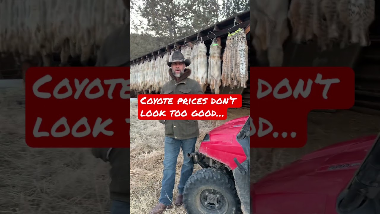 Getting Ready To Sell Out&hellip; Fur Sale time