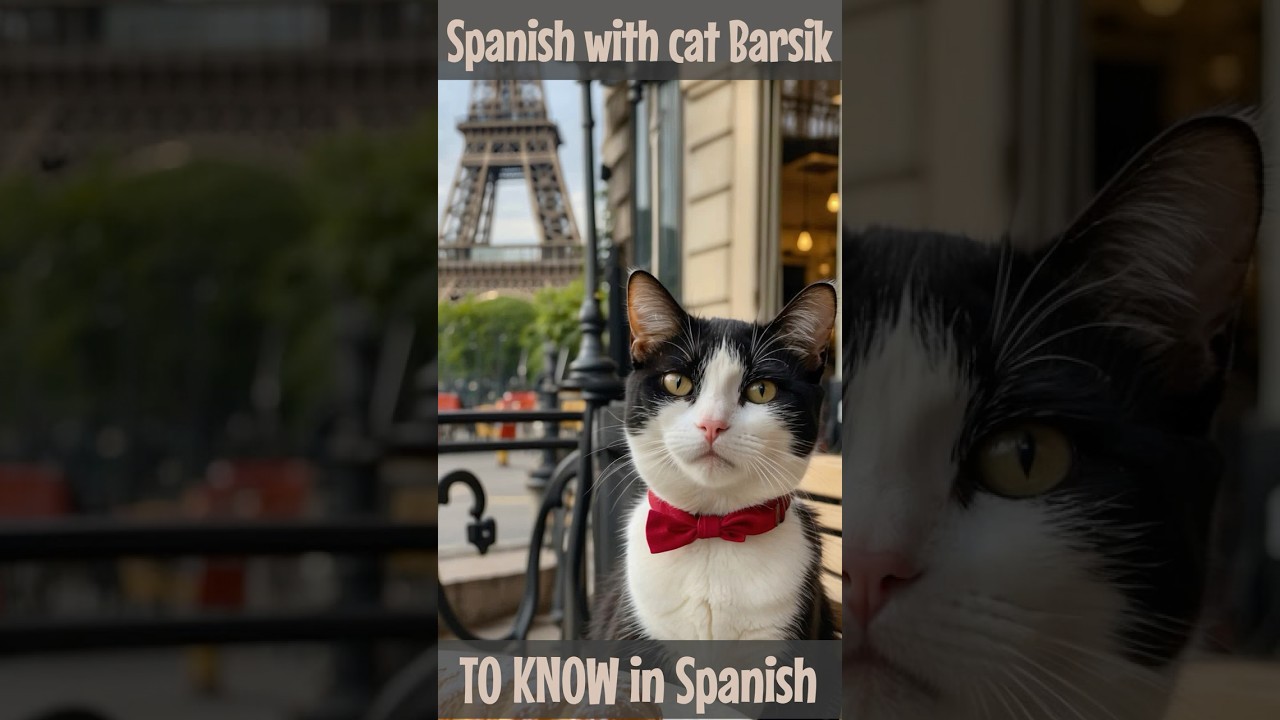 Two Ways to Say &ldquo;To Know&rdquo; in Spanish: Saber vs Conocer | Quick Tips + Examples |